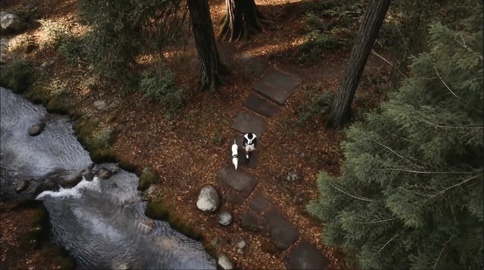 A trail beside a river, seen from above