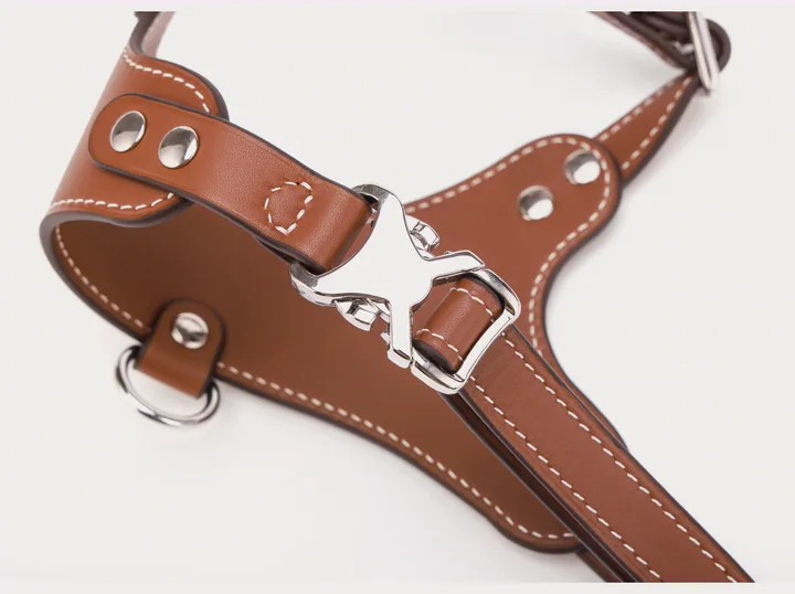 The nickel star buckle