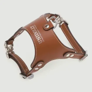 Arc leather harness in Saddle