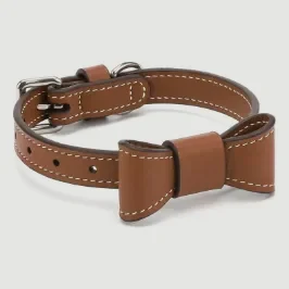 Collar with removable leather bow in Saddle