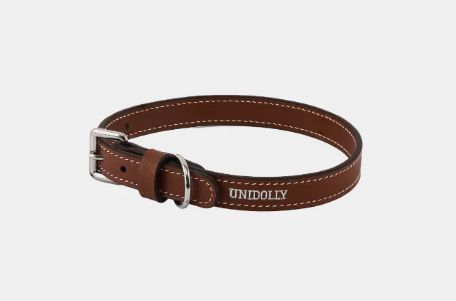 Leather collar with roller buckle and D-ring