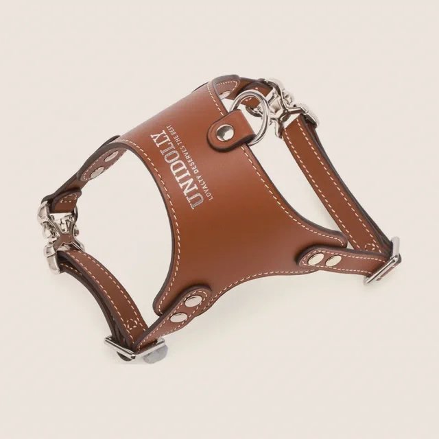 Arc leather harness