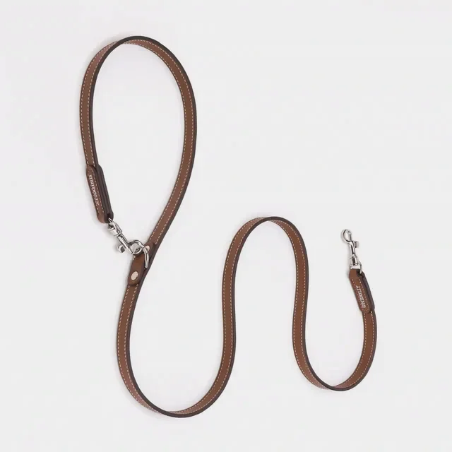 Tether full-length leather lead