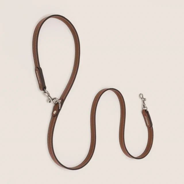 Tether leather lead